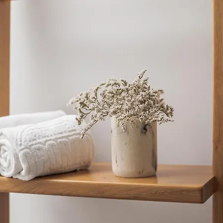 Apartment Alves Da Veiga Porto