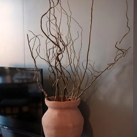 Maison Alves Da Veiga Apartmán *