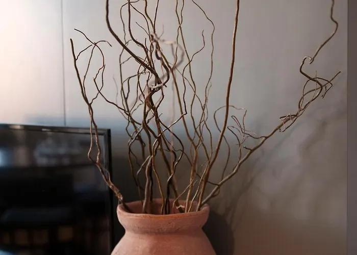 Maison Alves Da Veiga شقة *